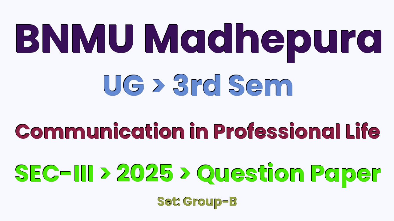 BNMU Madhepura UG 3rd Sem Communication in Professional Life SEC-III Group-B 2025 Question Paper